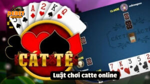 catte-online (2)